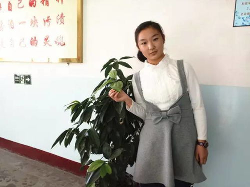 风华正茂_风华正茂,书生意气,挥斥方遒,指点江山