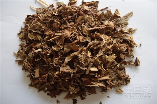 仙鹤草_仙鹤草图片功效与作用