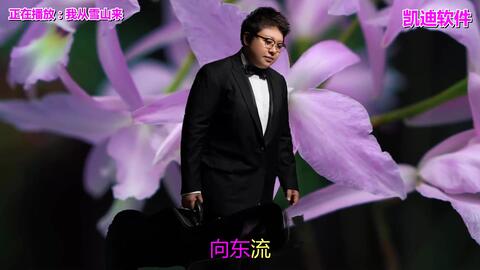 原唱经典老歌100首_原唱经典老歌100首目录
