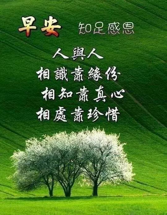 2022最漂亮的早安图片_2021年最漂亮的早安图片