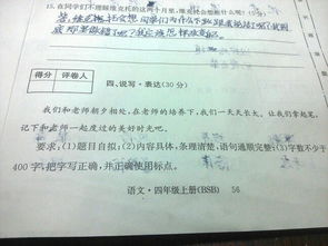 生活小常识作文200字左右四年级（生活小常识作文400字）