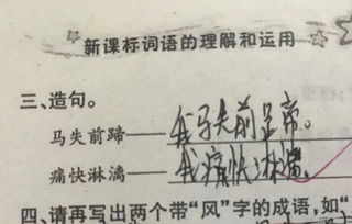 暴虎冯河造句_暴虎冯河造句子