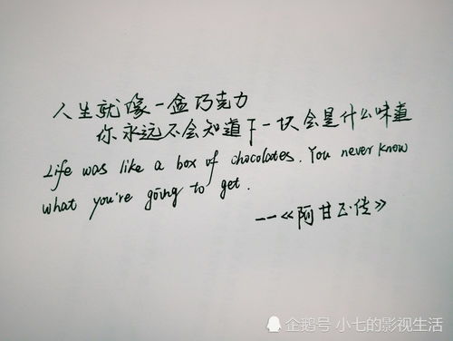 人生已过半_人生已过半歌词