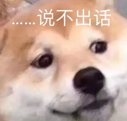 高级且有病的沙雕文案_高级且有病的沙雕文案毕业