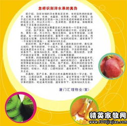 生活小常识的稿子（生活小常识的稿子大全）