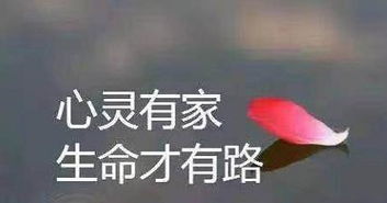 很成熟很现实的一段话_很成熟很现实的一段话经典