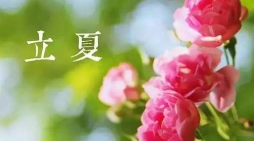 夏季生活小常识简短（夏季生活小常识简短10字）