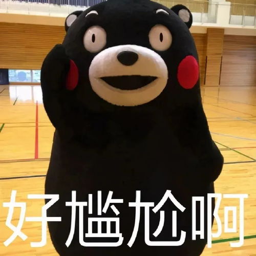 表情包动图搞笑_表情包动图搞笑沙雕