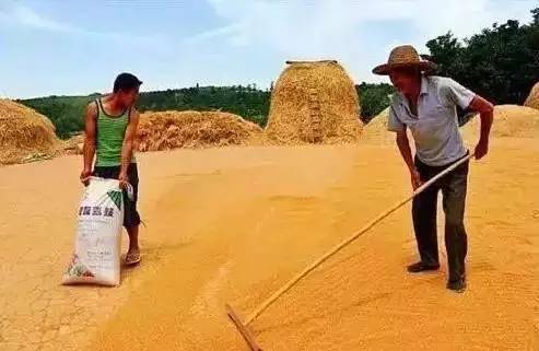 皓龙长空短剧第三十集免费看_长空皓月时