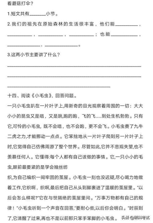 每日积累优美句子_每日积累优美句子二年级