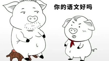 关于猪的成语_关于猪的成语有哪些成语大全