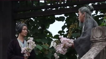 庆余年第二季林婉儿（庆余年第二季林婉儿黑化）