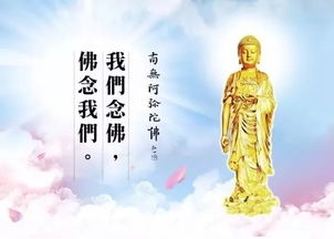 修心养性的佛经句子_修心养性的经书