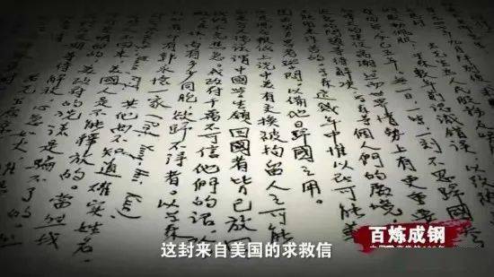 鲤鱼丹短剧100集免费看_电影鲤鱼