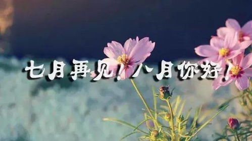 七月再见_七月再见八月你好句子