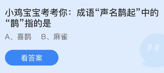 声名鹊起_声名鹊起的鹊什么意思
