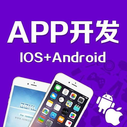app定制_app定制平台