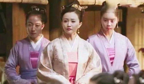 护国公府庶女宋昭短剧_护国公主全文免费阅读