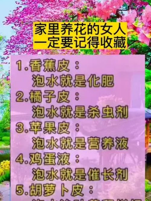 生活小常识?_生活小常识100个小妙招