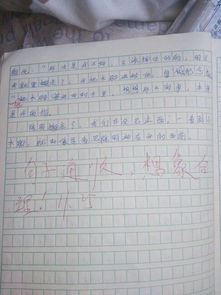 生活小常识300字作文怎么写_生活小常识作文400字