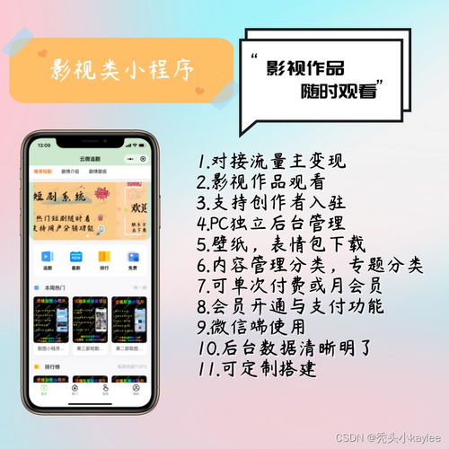 小程序短剧项目方案怎么写_小程序剧本