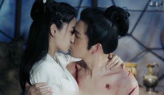 宝贝对不起吻戏视频在线观看_宝贝对不起综艺节目在线观看