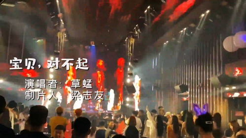 宝贝对不起歌视频在线观看_宝贝对不起歌词是什么歌