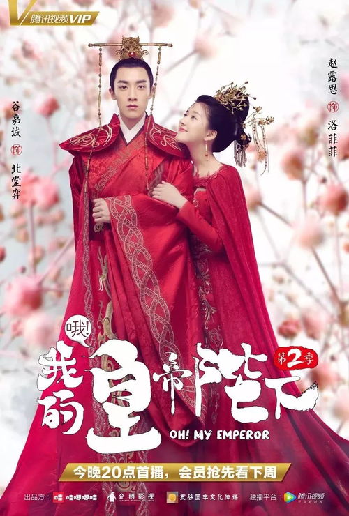 我的皇帝陛下MP4下载的简单介绍