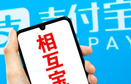 宝贝对不起短剧_有什么偏门来钱快的路子联系方式

