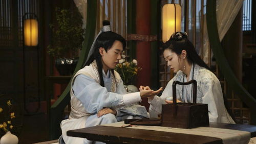 赘婿电视剧大结局解说赘婿复仇记_赘婿连续剧分集介绍