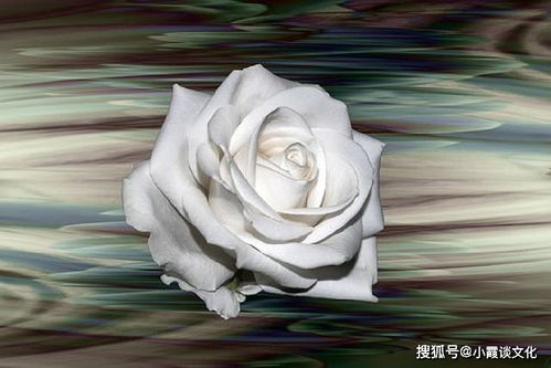 生活小常识说说_生活小常识100条简短发朋友圈