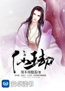 仙王傻婿短剧免费看_小说仙王
