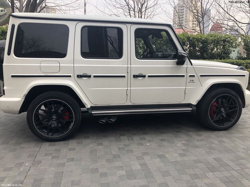 奔驰大g价格_奔驰大G价格一般能买吗