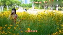 宝贝对不起歌视频在线观看_歌曲宝贝对不起dj