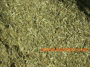 紫花苜蓿_紫花苜蓿产量多少