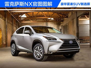 雷克萨斯图片大全_雷克萨斯图片大全 suv