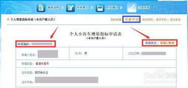 北京小客车指标查询_北京小客车指标查询入口