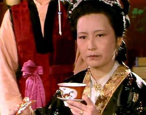 庆余年2王夫人干啥的_庆余年王夫人是谁
