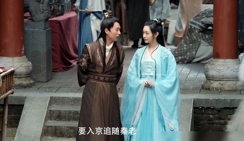 赘婿共多少集大结局_赘婿几集?