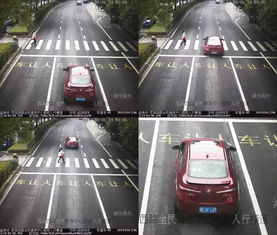 湖州交警车辆违章查询_湖州交巡警违章查询