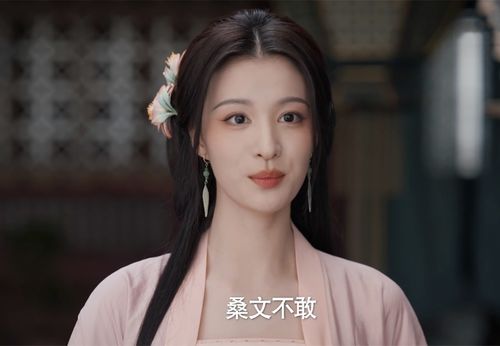 庆余年2桑文身份_庆余年桑文是谁
