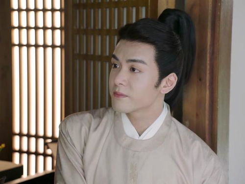 赘婿浩楠大结局怎么样了_赘婿江浩晨