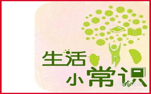 生活小常识300字_生活小常识300字的