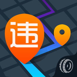 大连交通违章查询网站_大连交通违法违章查询