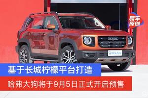哈弗大狗汽车报价及图片_哈弗大狗汽车报价及图片白色款