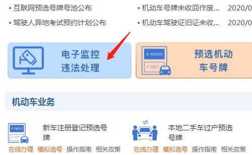 广州交通违章查询_广州交通违章查询官网看相片