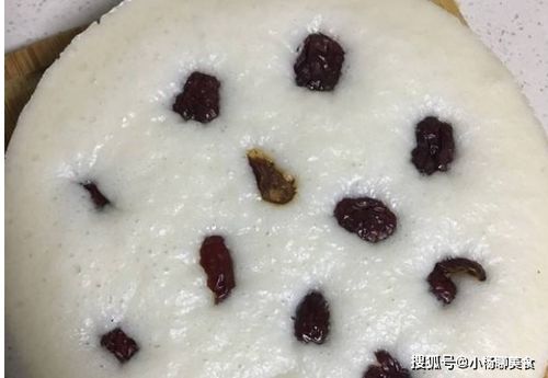 生活小常识100个小妙招米发糕的配方与制作_米发糕的做法和配方比例