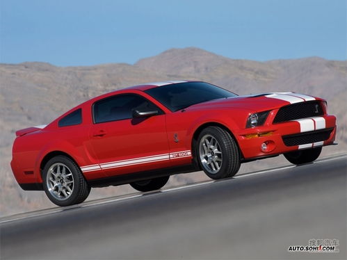 野马眼镜蛇gt500