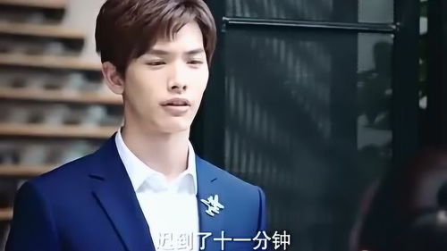霸道总裁短剧100集完结_霸道总裁短剧100集完结版