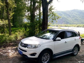 30万以内最好的suv_30万以内最好的四驱车